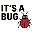 bug