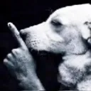 shh