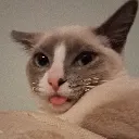 emoji_1