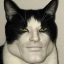 chadcat