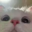 curious