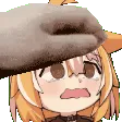 eicorgi_petpet3