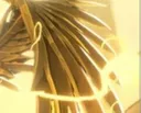 angelawing