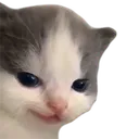 hehe