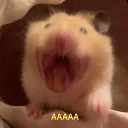 AAAAAH