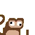 Monkecoconutbrain