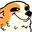 dog_sly