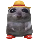 cwainer