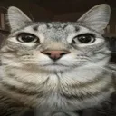 whadufuh