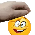 lpat