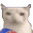 1151661586763763875