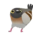 yavidance