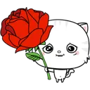 01rose4