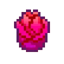 01rose15