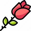 01rose6