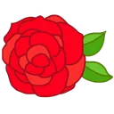 01rose8