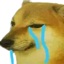 doggosad