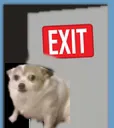 doggoexit