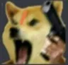 bandook