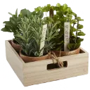 bekyre_medieval_plant