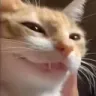 CatSmirk