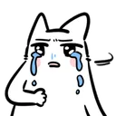 CatTeary CatTeary