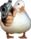 duck_gun