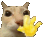 :Gato_Hola: