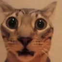 solix_what