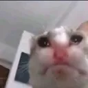 pleurer