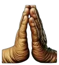 Pray