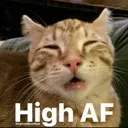 Stoner_CatHighAF
