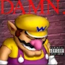 wariodamn