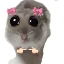 shy