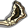 skele_pinch