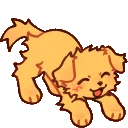 ah_PupWag_cc