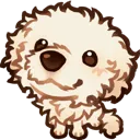 ae_MaltipooLook_cc