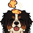 ac_BernesePat_cc