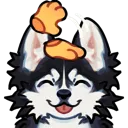 ac_HuskyPat_cc