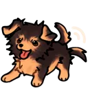 aa_YorkiWag_cc
