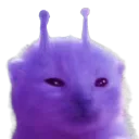 florp