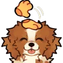 pet