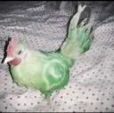 wabird