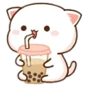 catboba