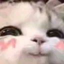 heh