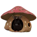 foofy_mushroom_house