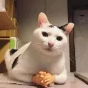 Bro