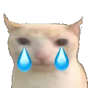 ec_bruhcatsad