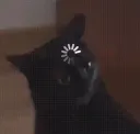 i_am_confusion
