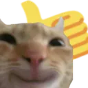 catok